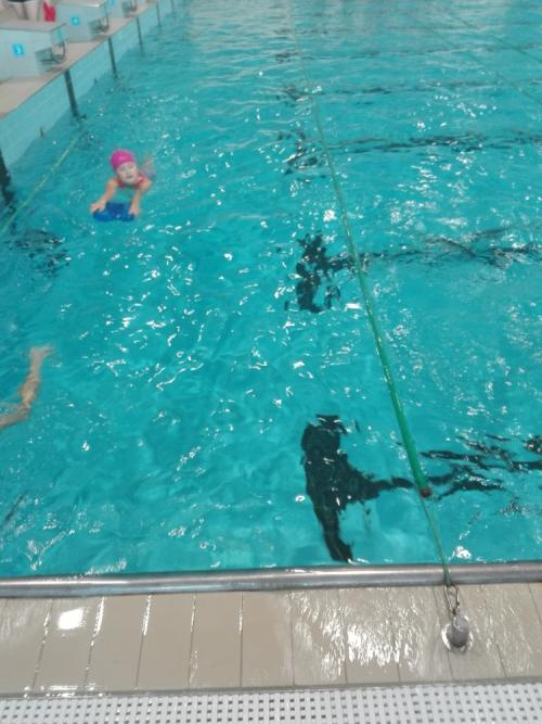 Povinná plavecká výuka